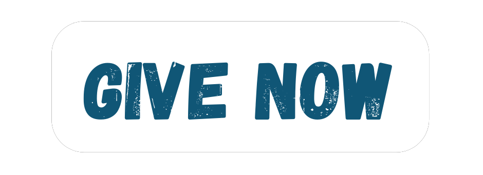 give back non profit africa