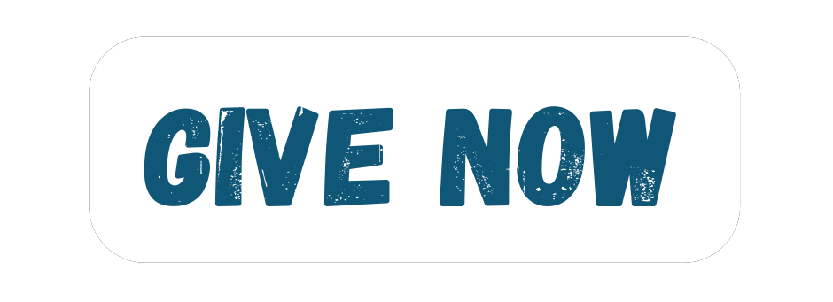 give back non profit africa