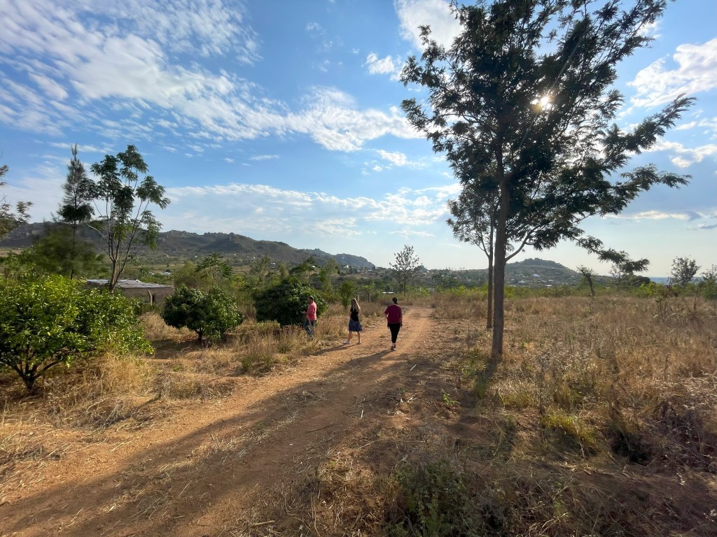 Light in the&nbsp;Darkness